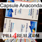 Anaconda Capsule kamagra1